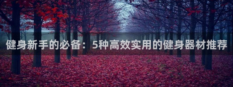 熊猫体育官网下载注册:健身新手的必备:5种高效实用的健身器材